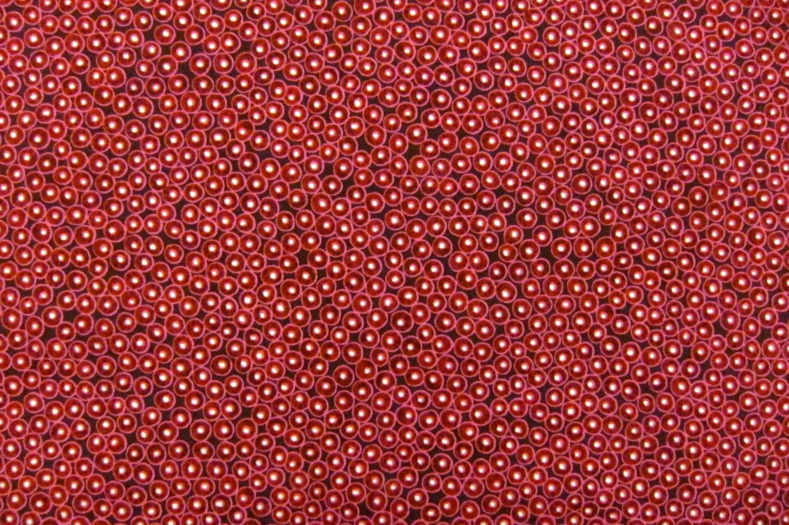 Cotton Broadcloth Print0