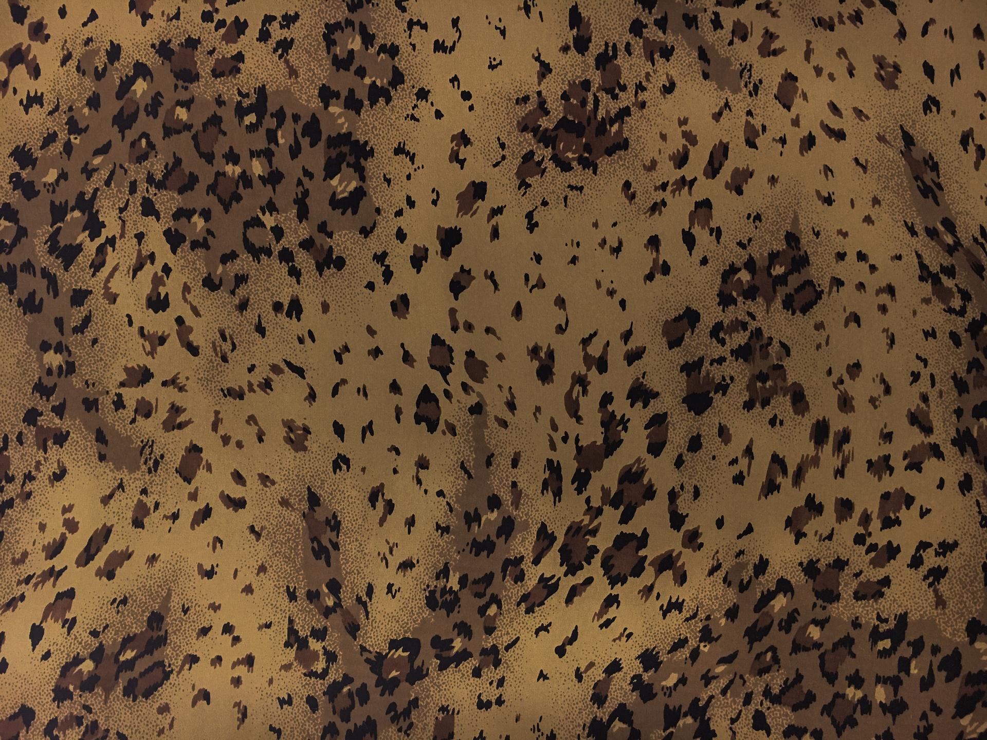 Printed Silk Charmeuse0