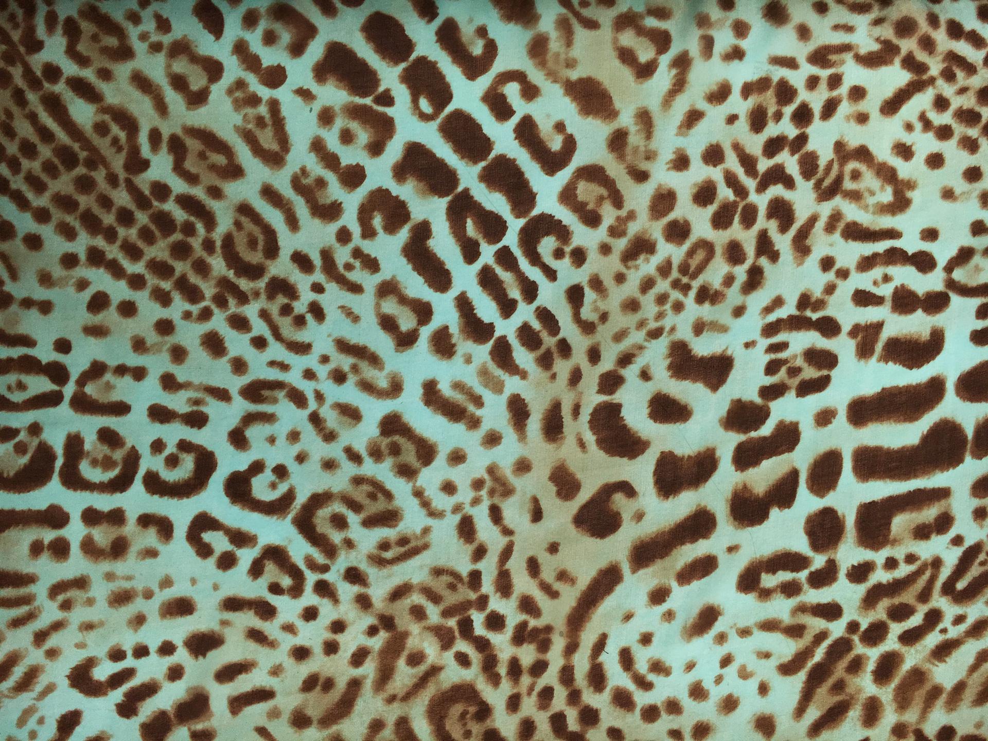 Printed Silk Chiffon0