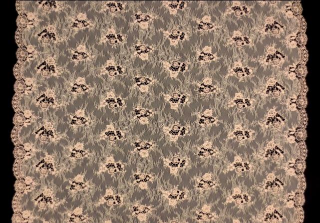 Embroidered Chantilly Lace3