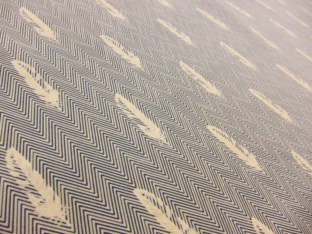 Cotton Broadcloth Print2