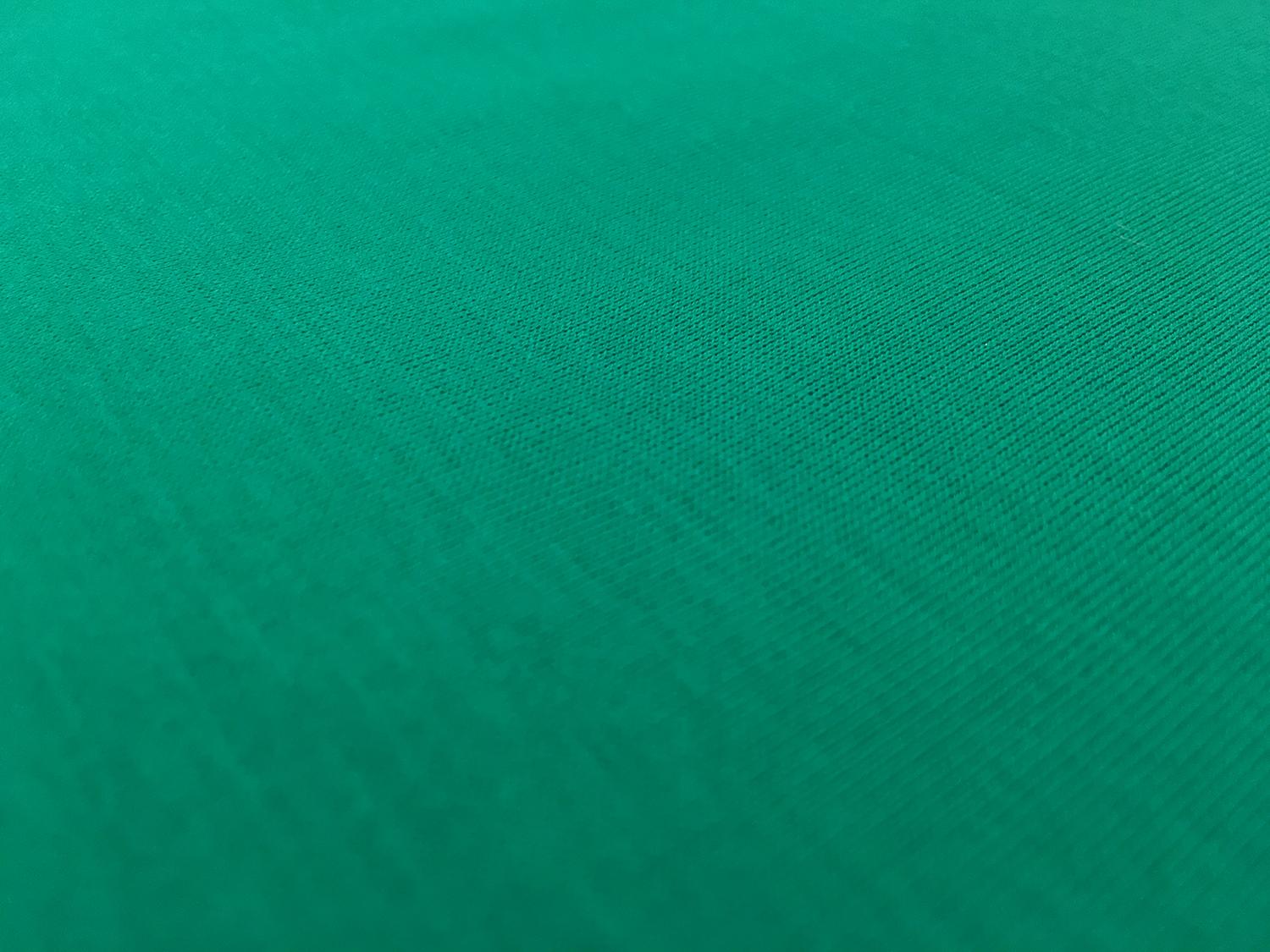 Italian Cotton Jersey in Emerald Green0