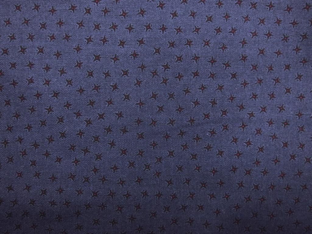 Cotton Broadcloth Print0