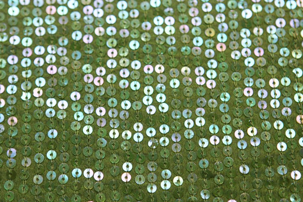 Sequins on Silk Chiffon2