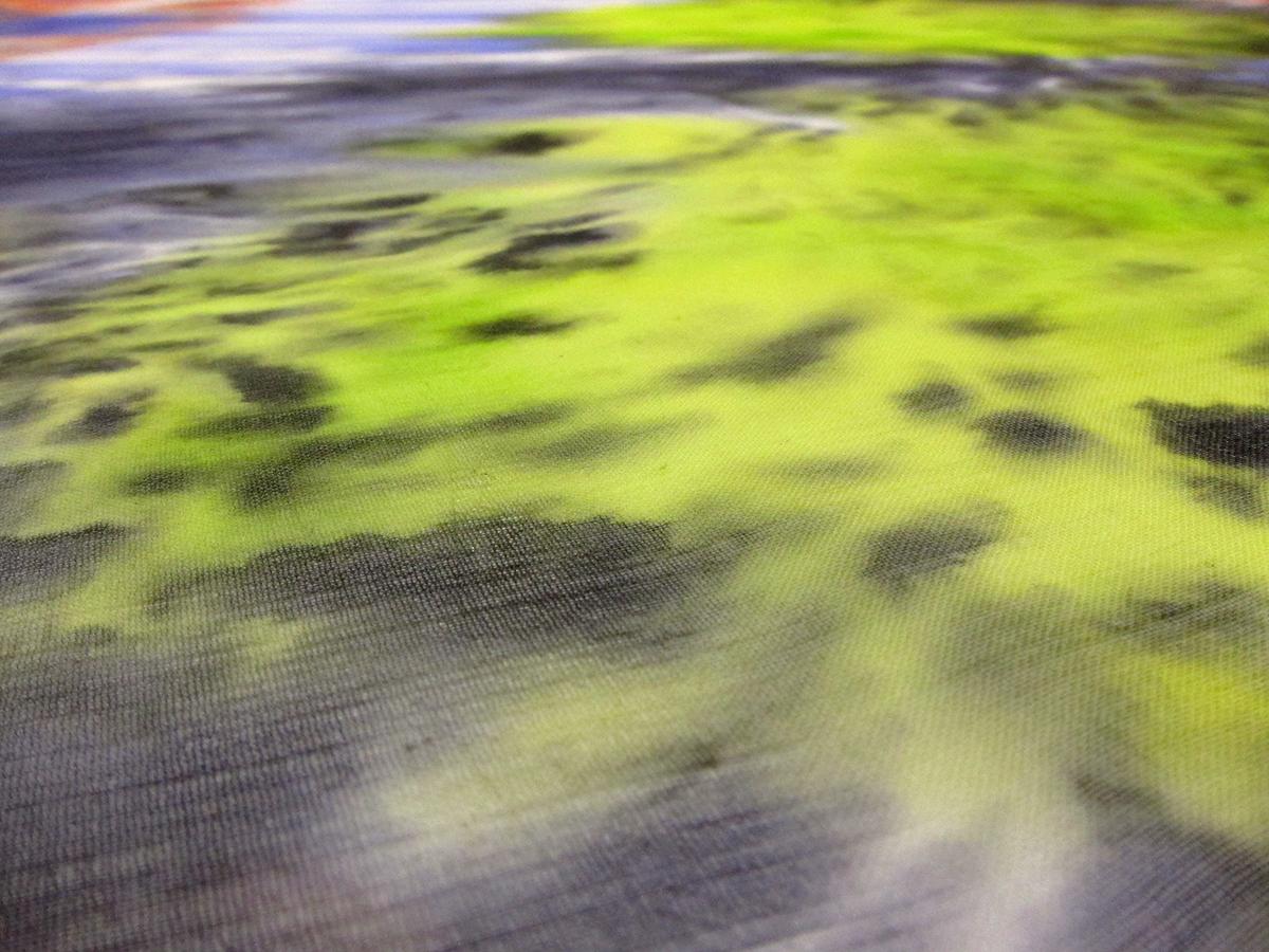 Printed Silk Chiffon1