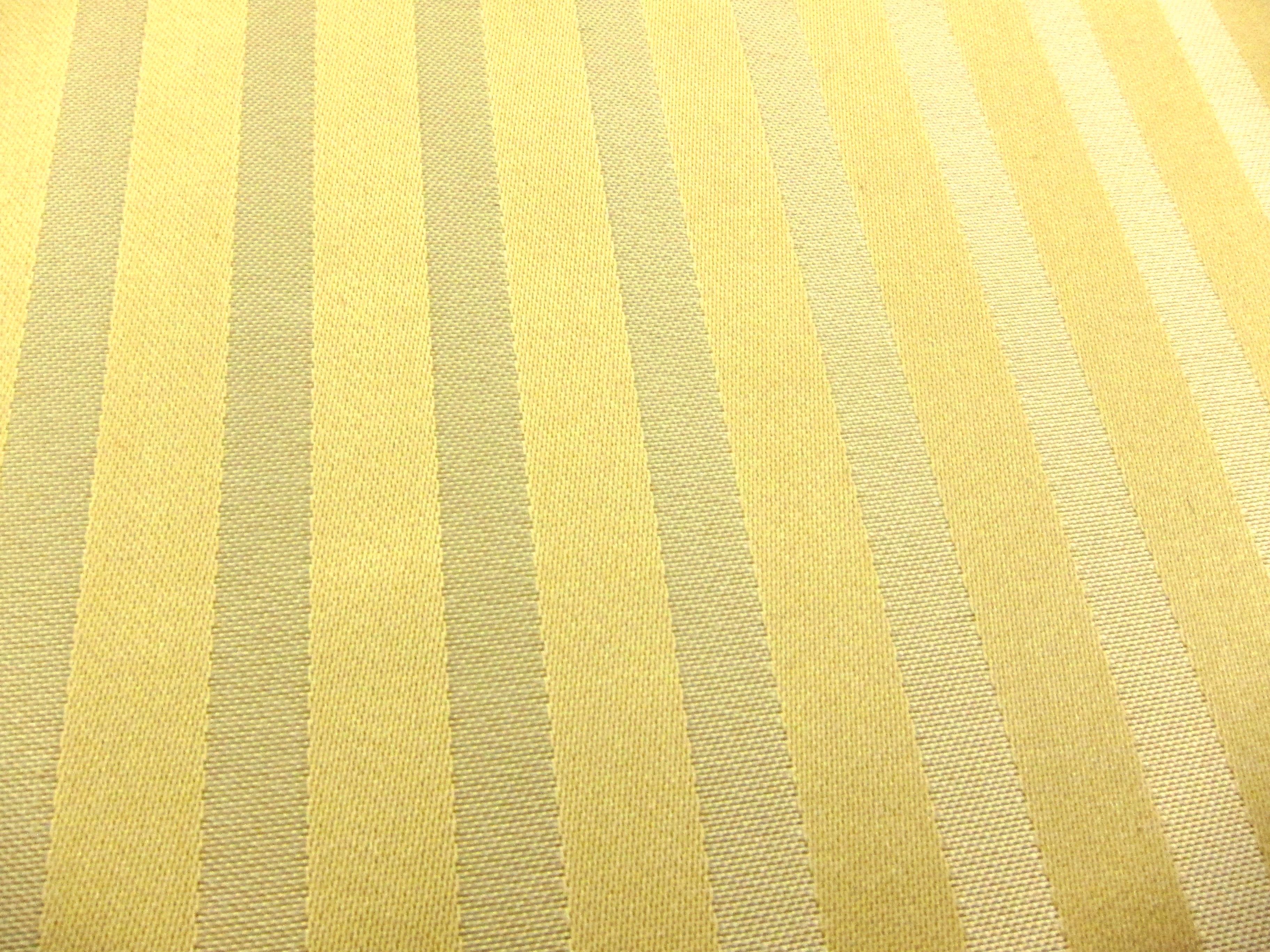 Silk Stripe Brocade2