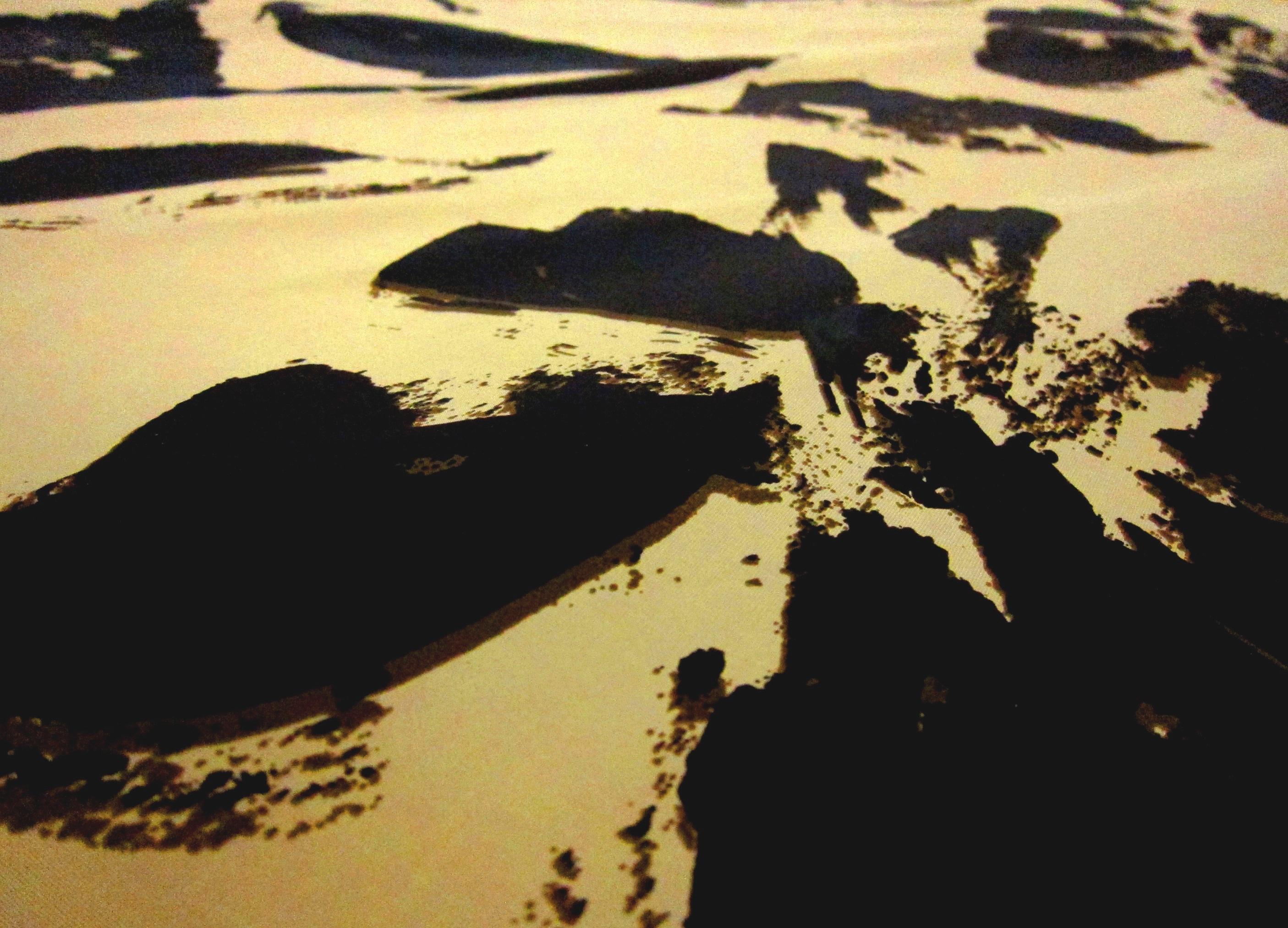 Printed Silk Taffeta2