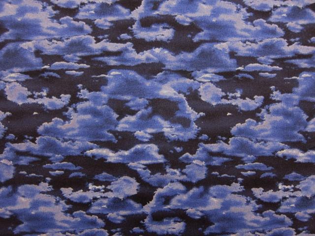 Cotton Broadcloth Print0