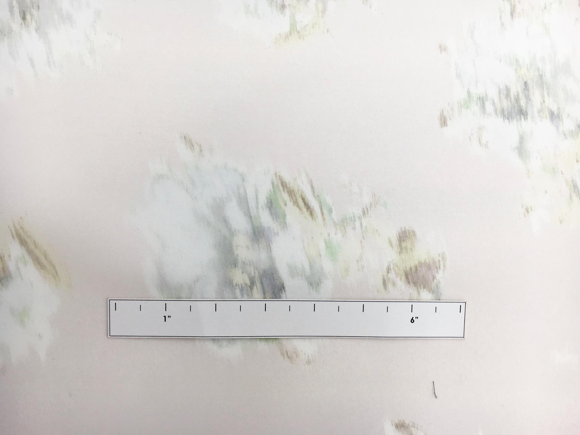 Printed Ombré Silk Organza with Degradé Florals2