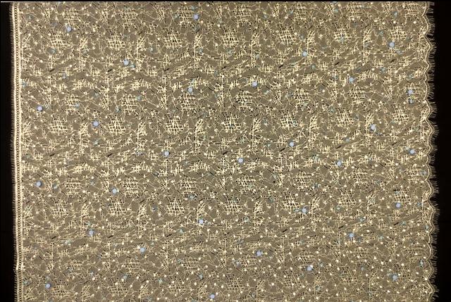 Beaded Metallic Chantilly Lace3