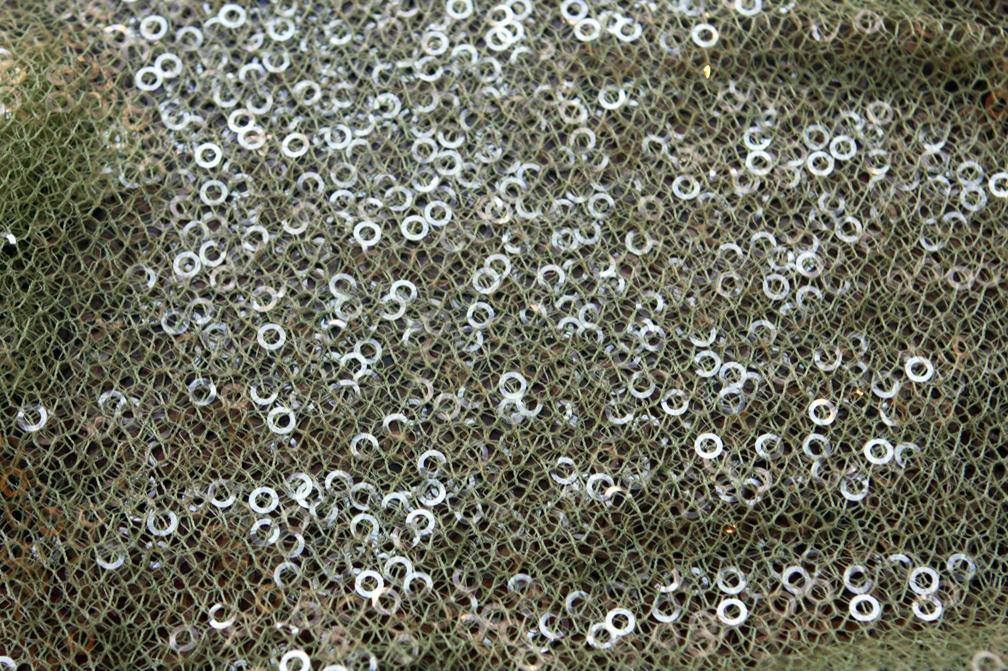 Novelty Sequins on Mesh0