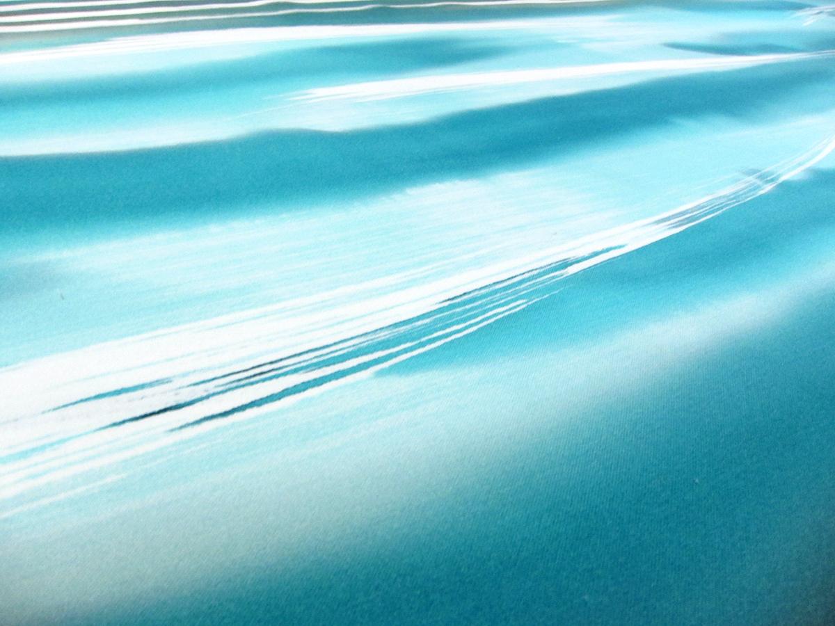 Printed Silk Charmeuse1