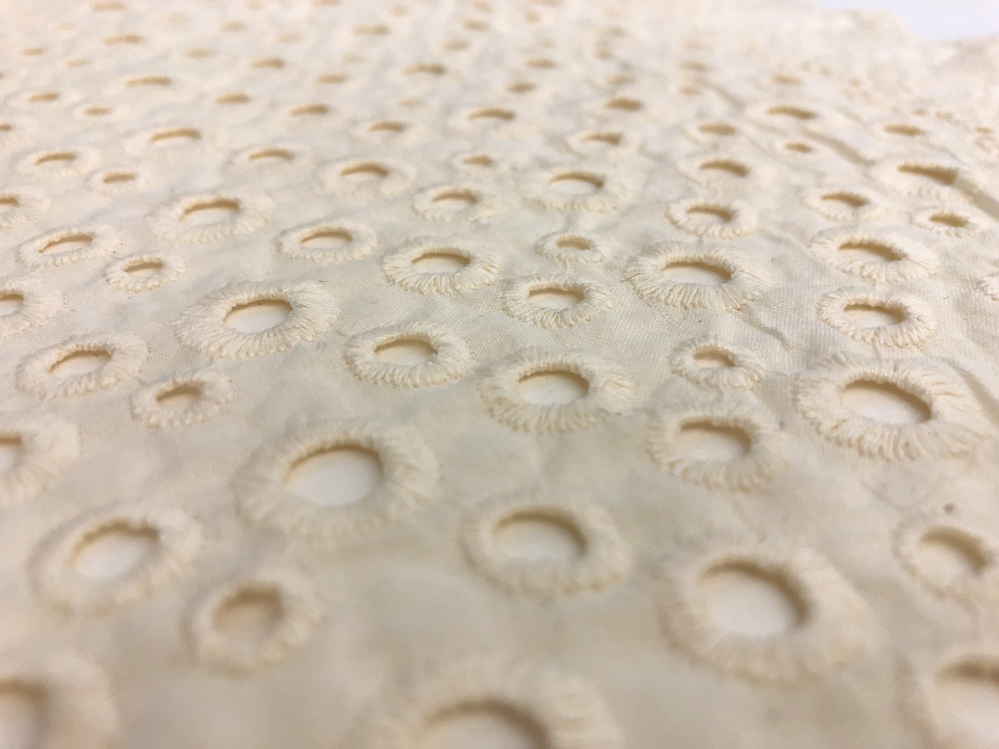Natural Cotton Eyelet With Scalloped Edge1