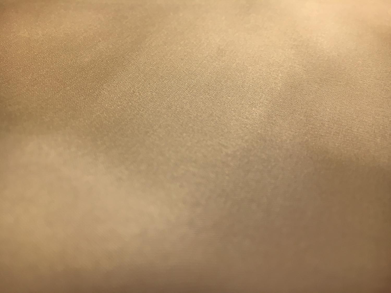 Tahari Stretch Polyester Charmeuse in Nude1