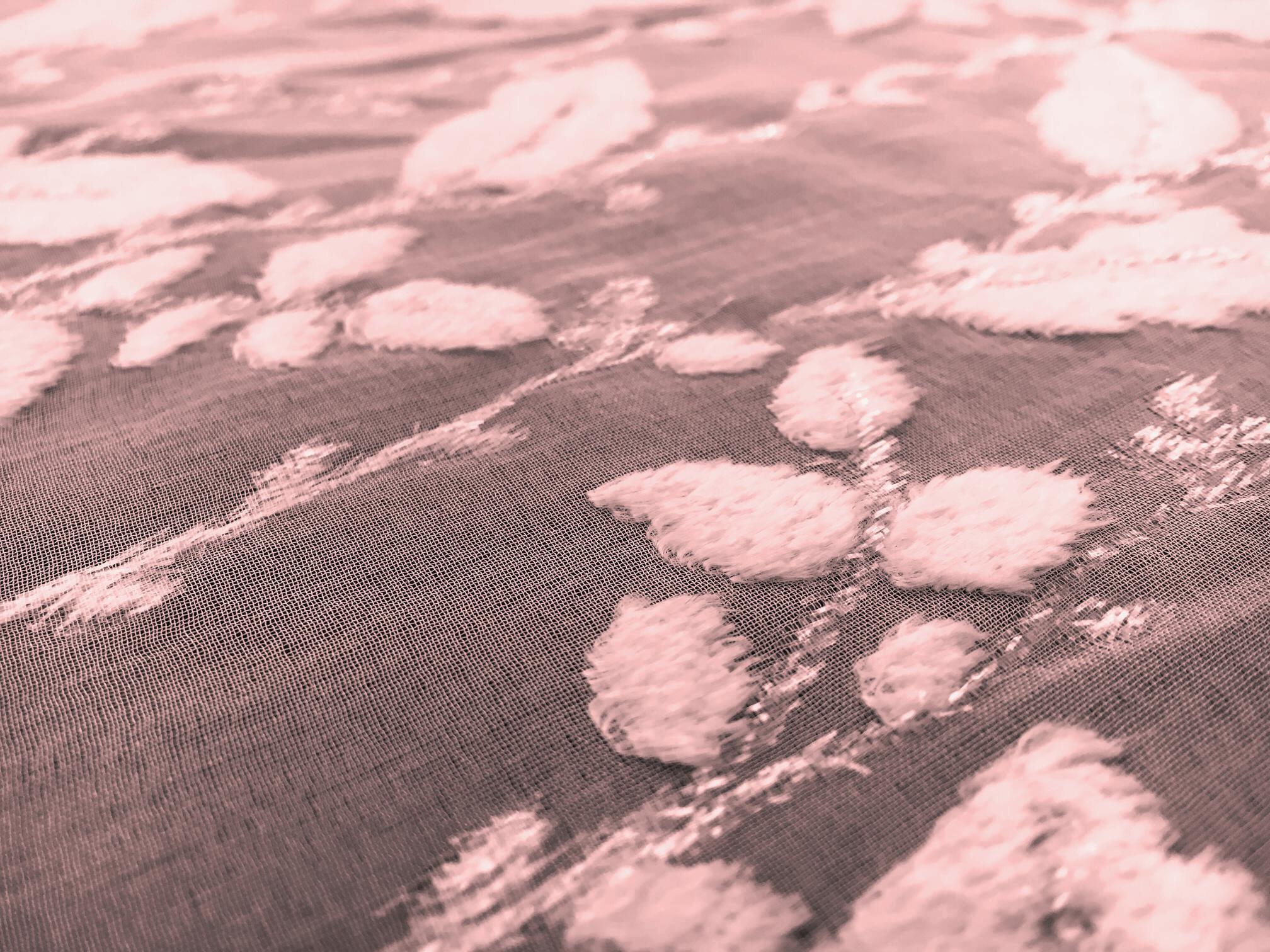 Burnout Velvet With Leaves Motif in Rose2