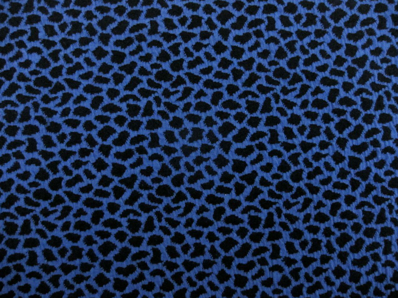 Cotton Blend Knit With Animal Print in Cobalt0