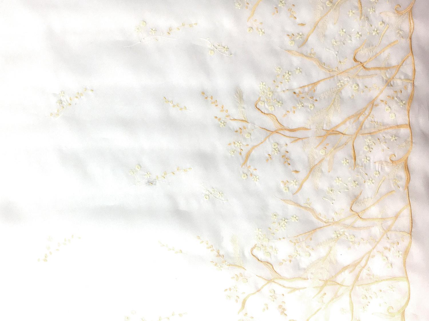 Silk Satin Organza with Degradé Embroidery3