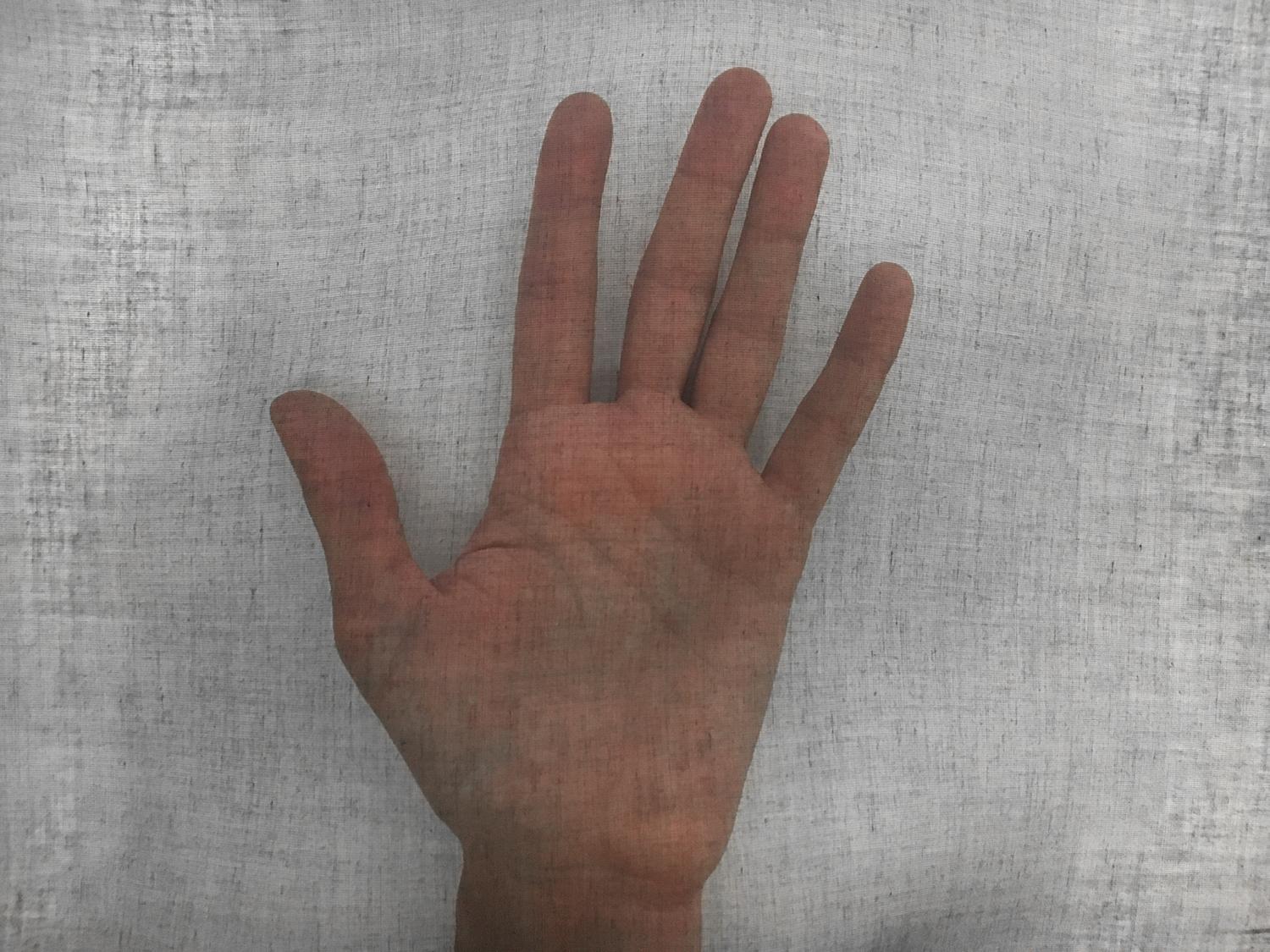 Swiss Cotton Organdy in Black1