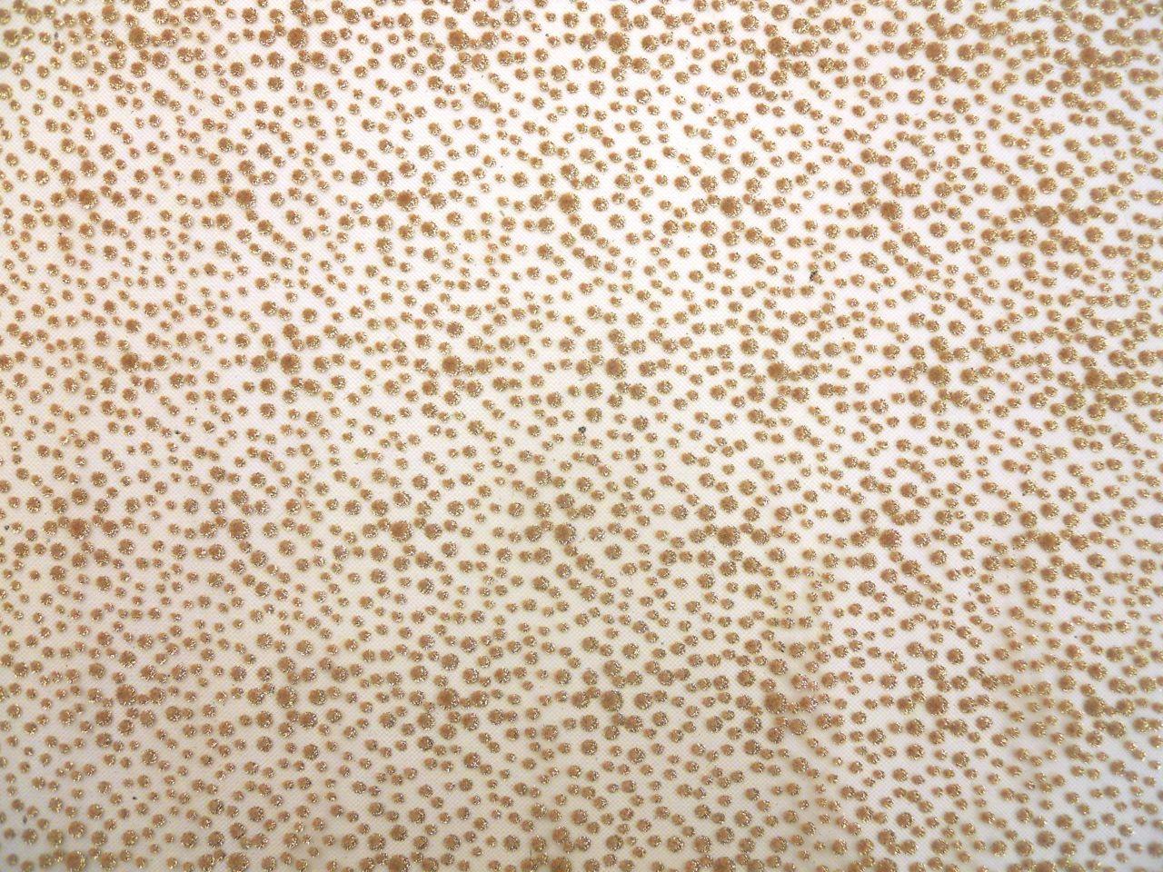 Metallic Flocked Tulle0