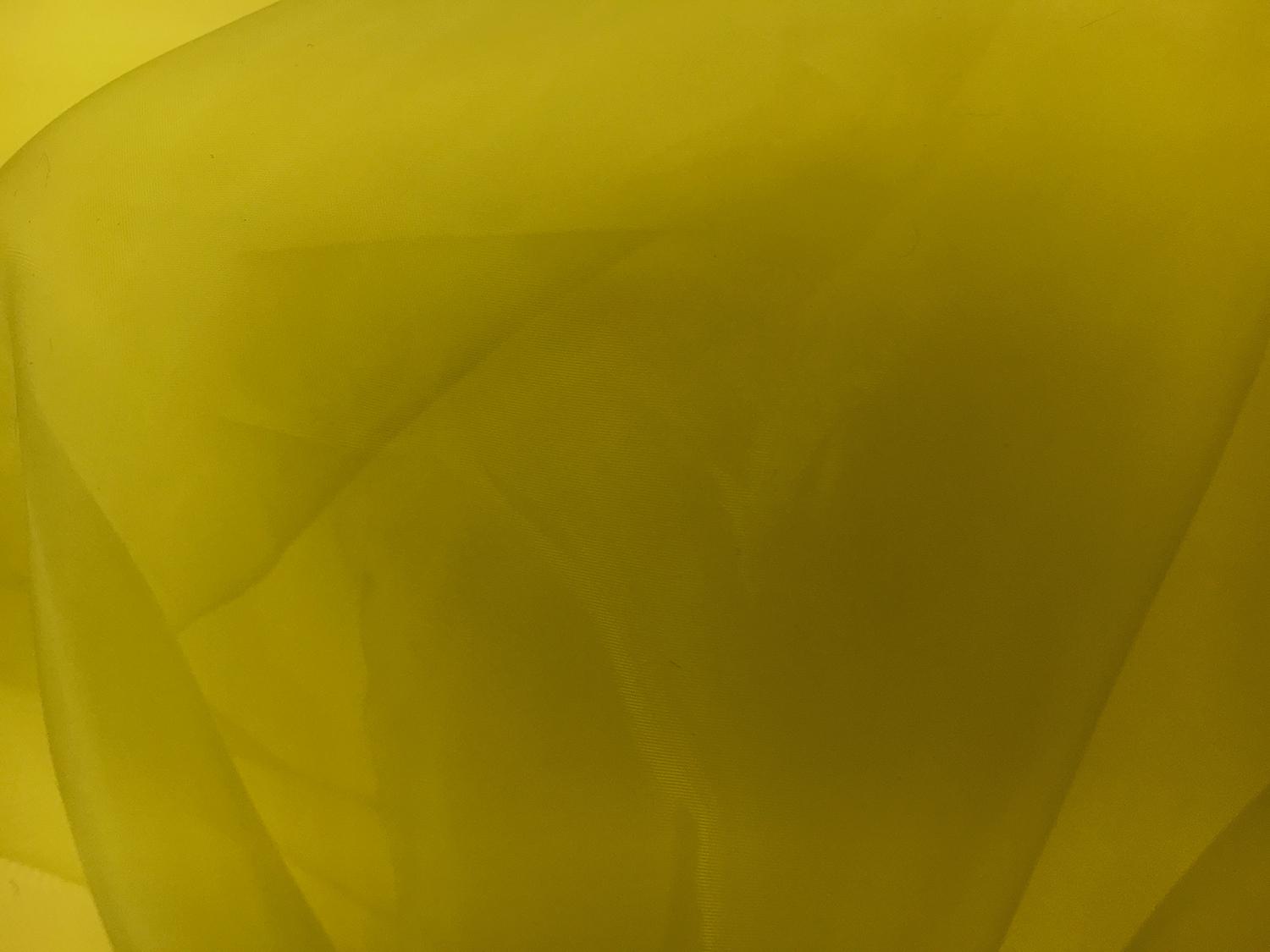 Japanese Polyester Extra Fine Organza in Green0