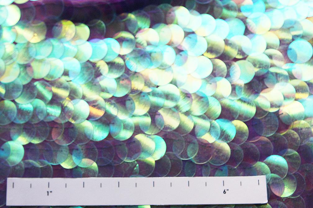 Paillettes on Silk Chiffon2