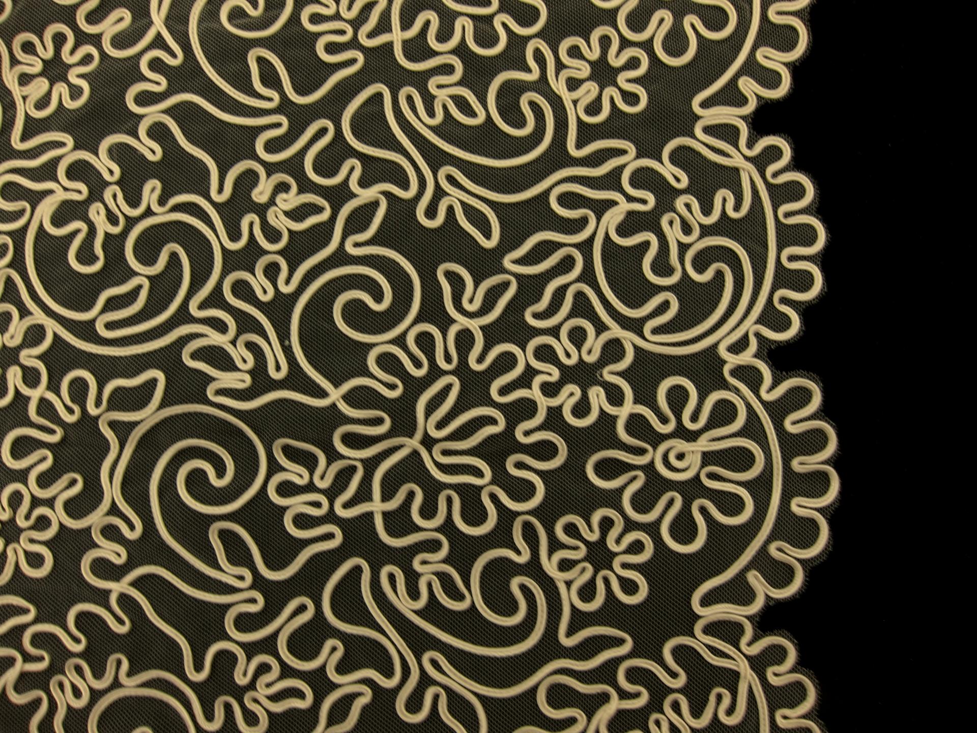 Soutaché Embroidered Tulle0