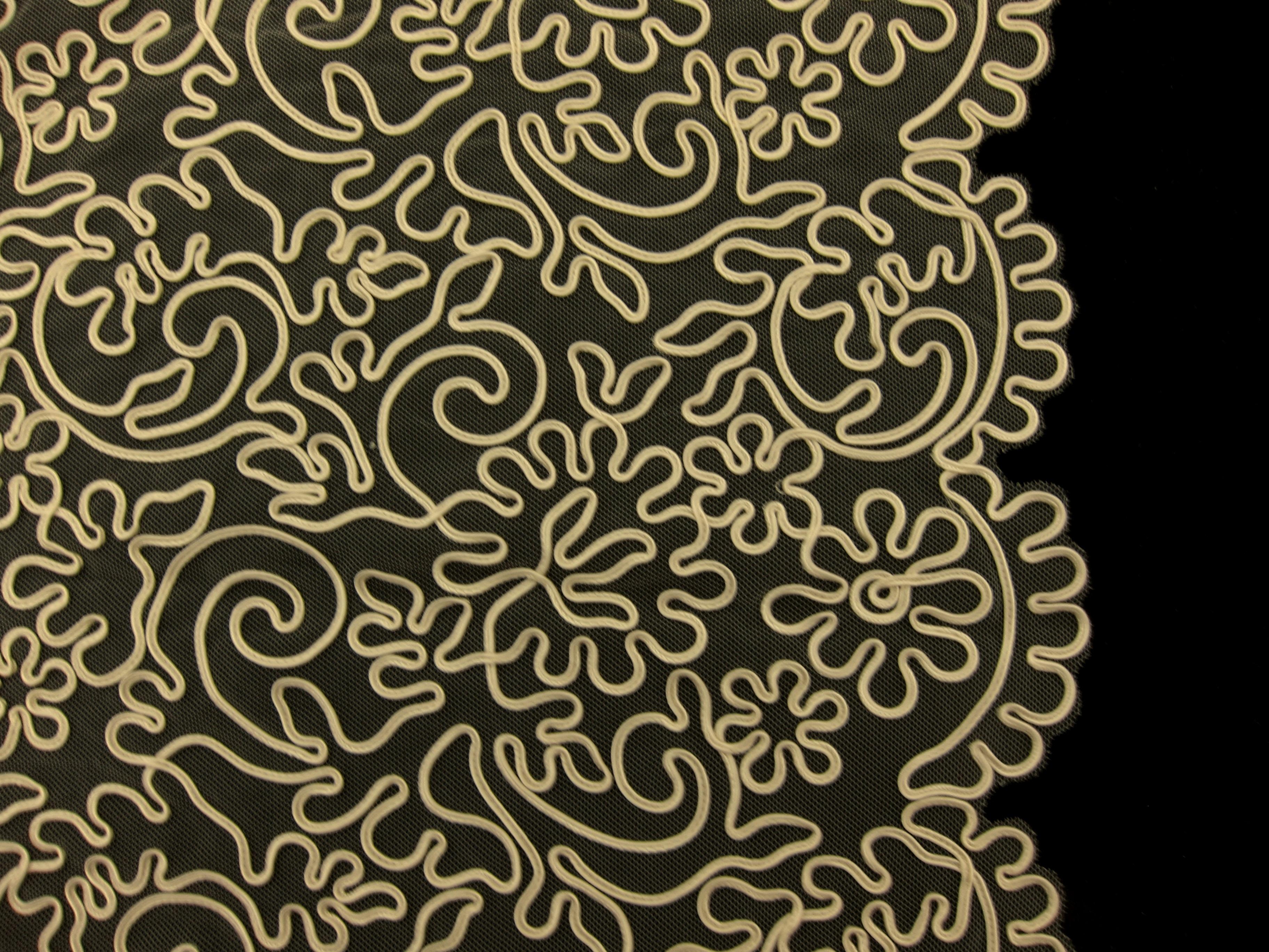 Soutaché Embroidered Tulle0