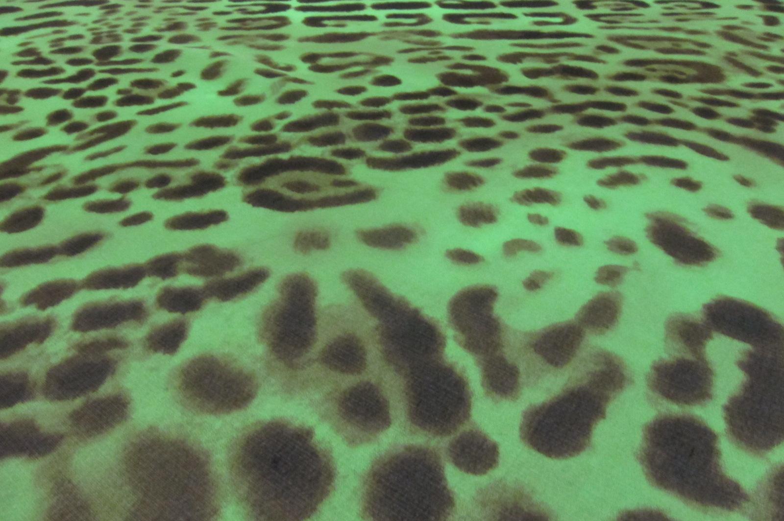 Printed Silk Chiffon2