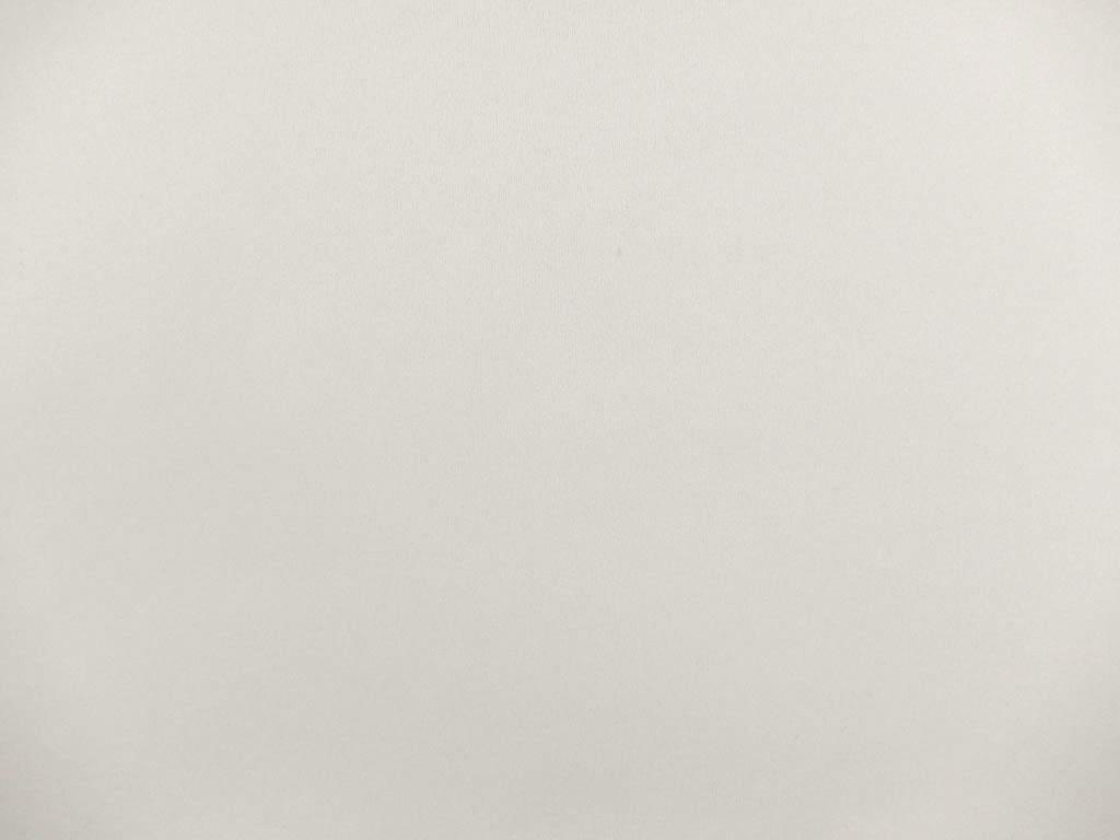 Scuba Knit in White0