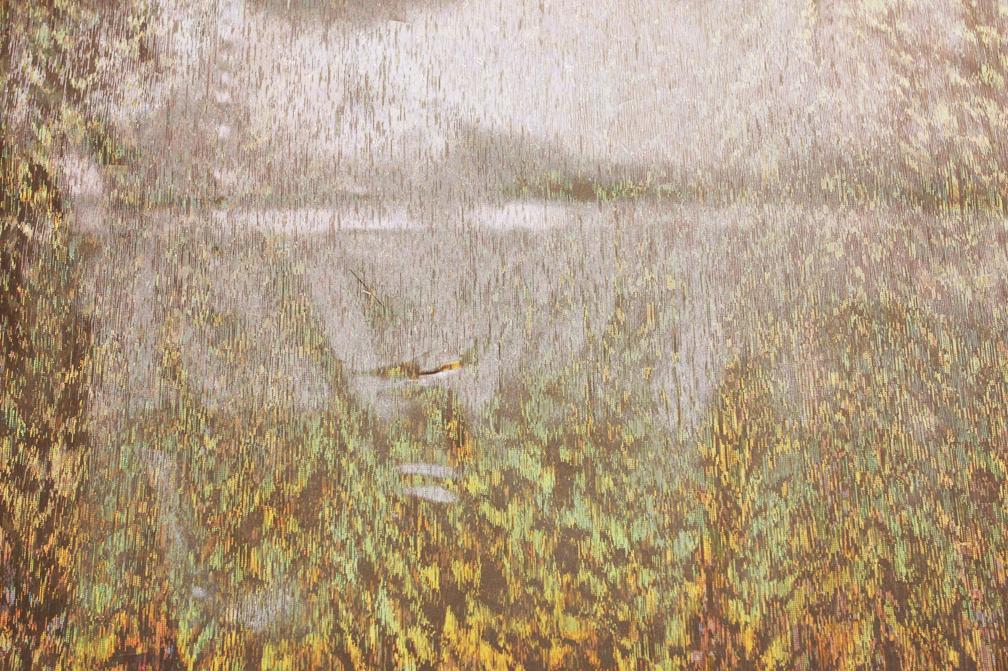 Stretch Hologram Lamé0