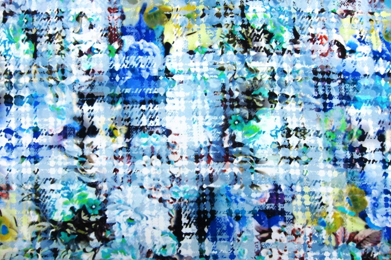 Printed Silk Charmeuse0