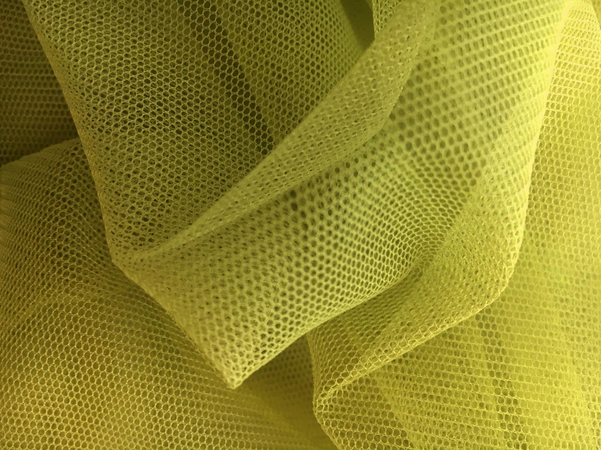 Nylon Bobbinet in Lichene0