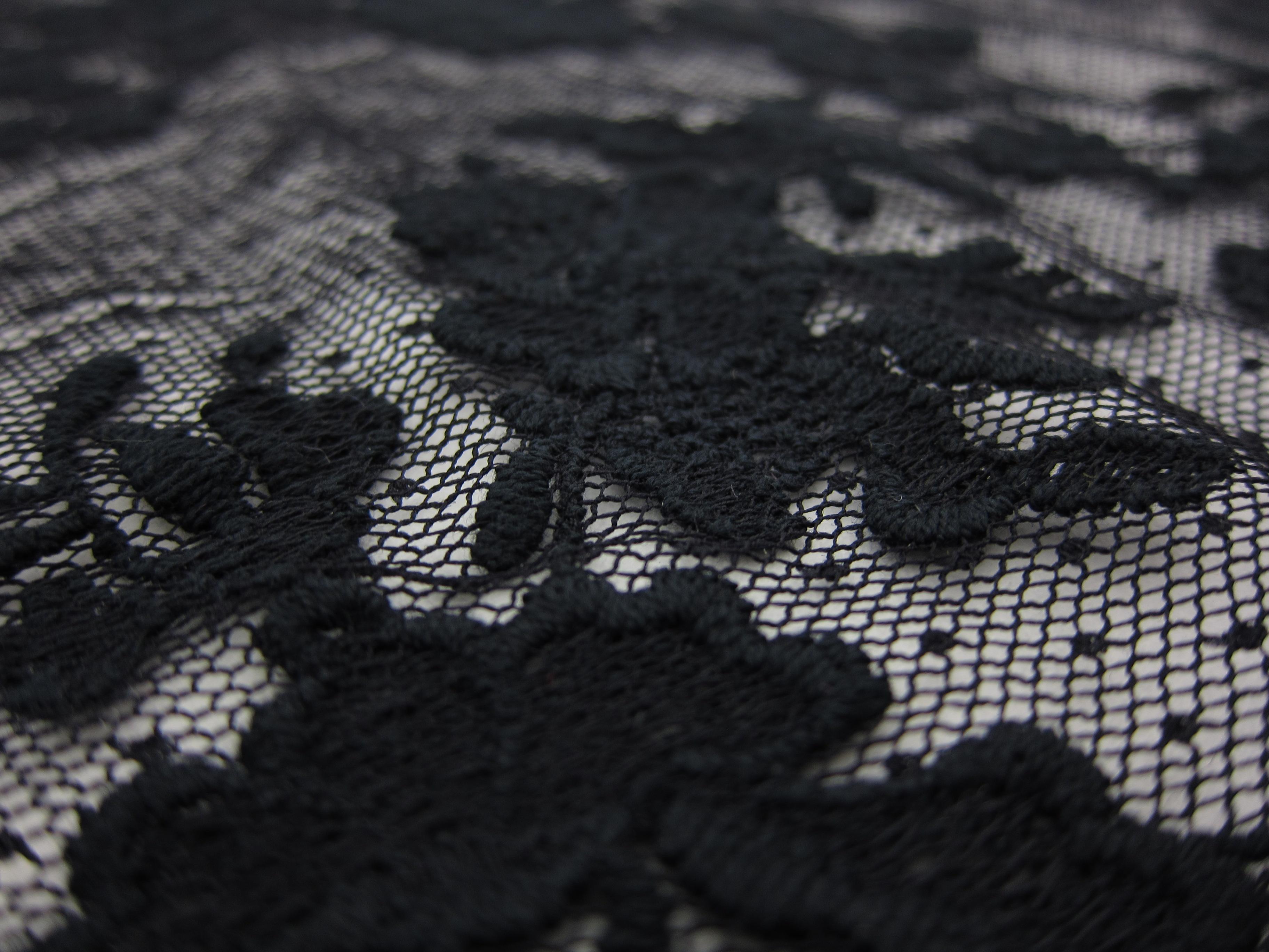 Embroidered Cotton Point D'Esprit2