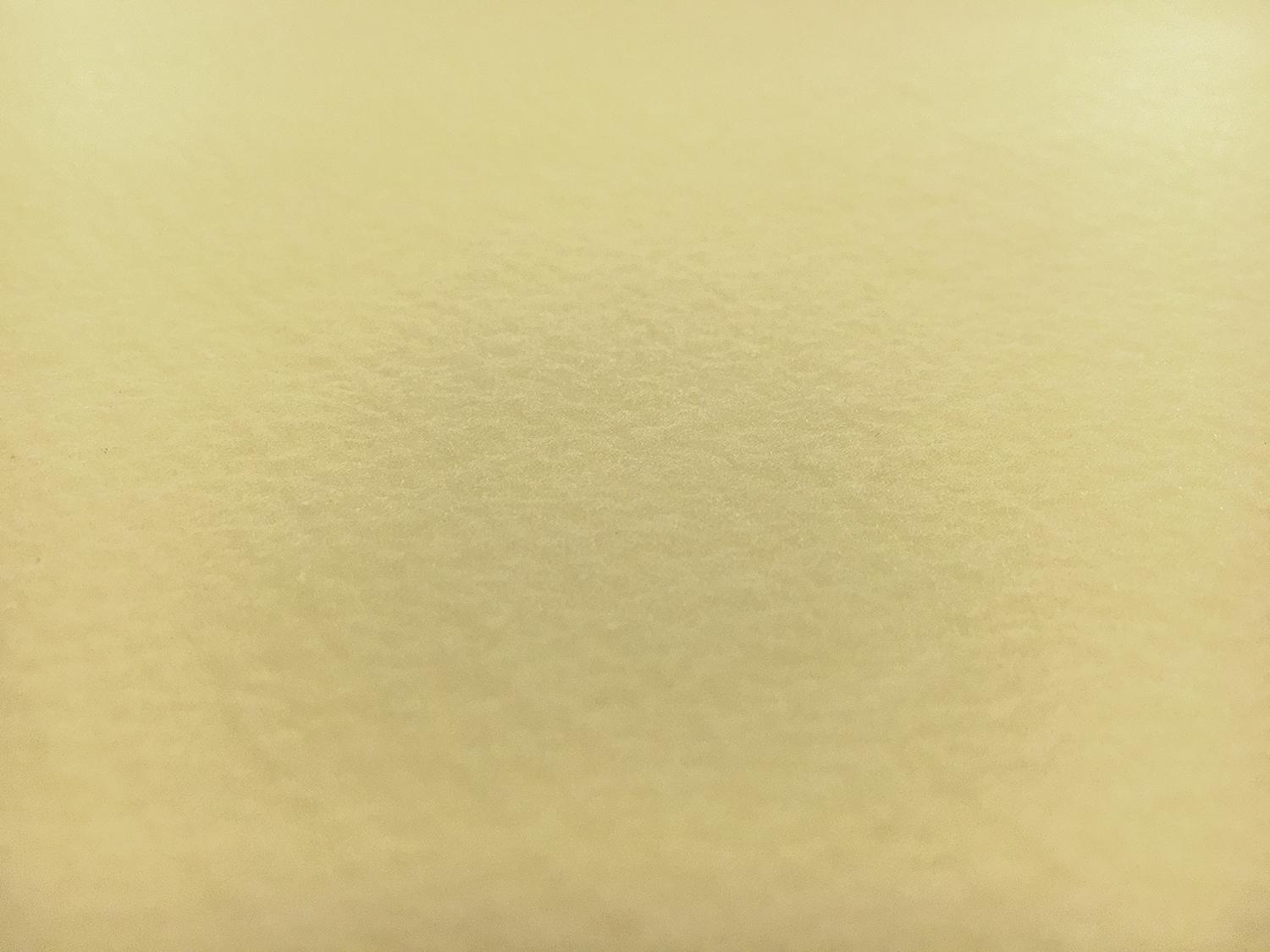 Japanese Pebbled Poly Organza in Butter1