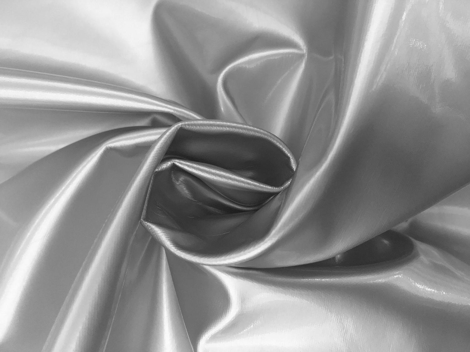 Wetlook Vinyl in Silver1