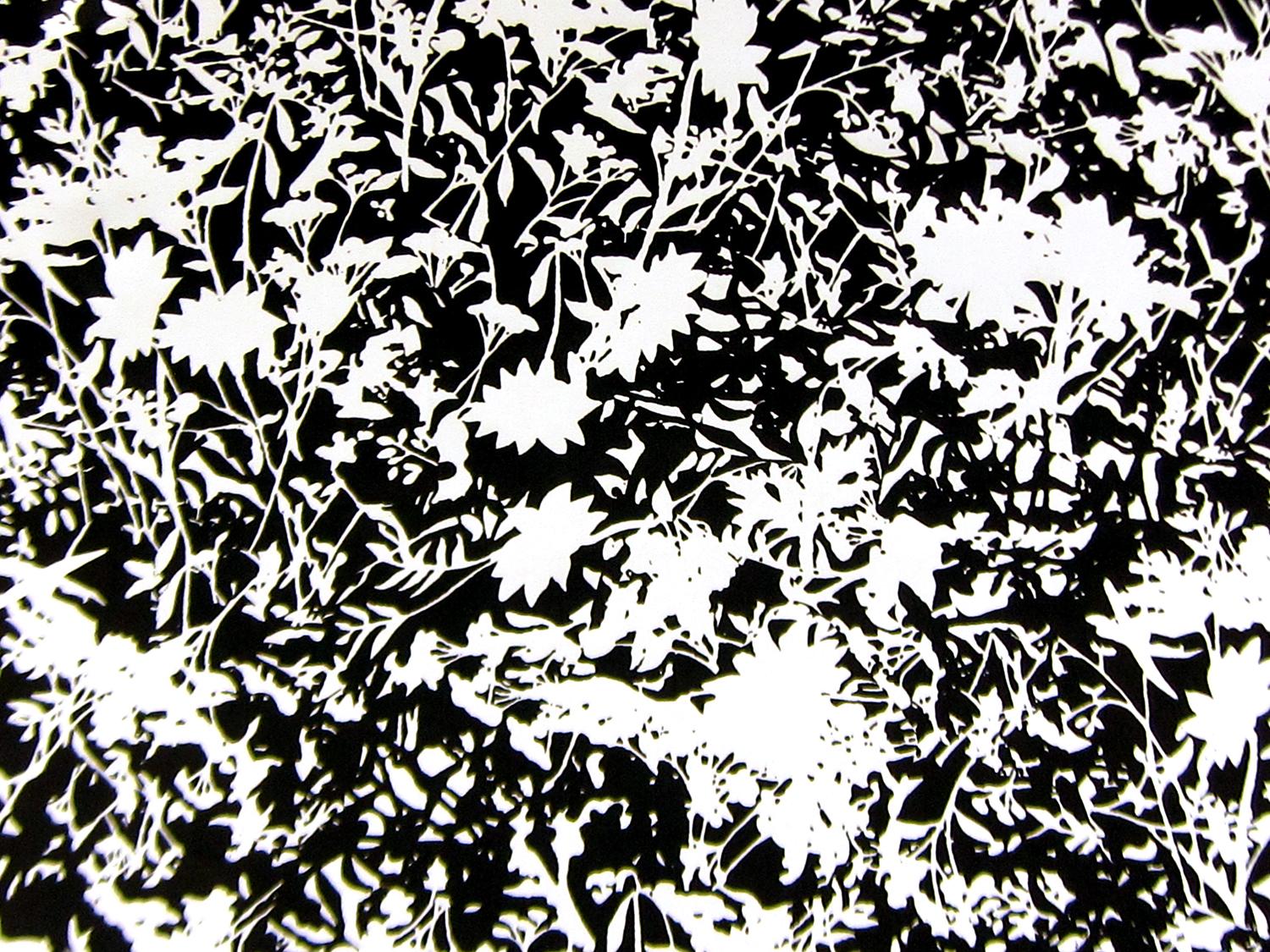 Printed Silk Charmeuse with Black and White Floral Silhouettes0