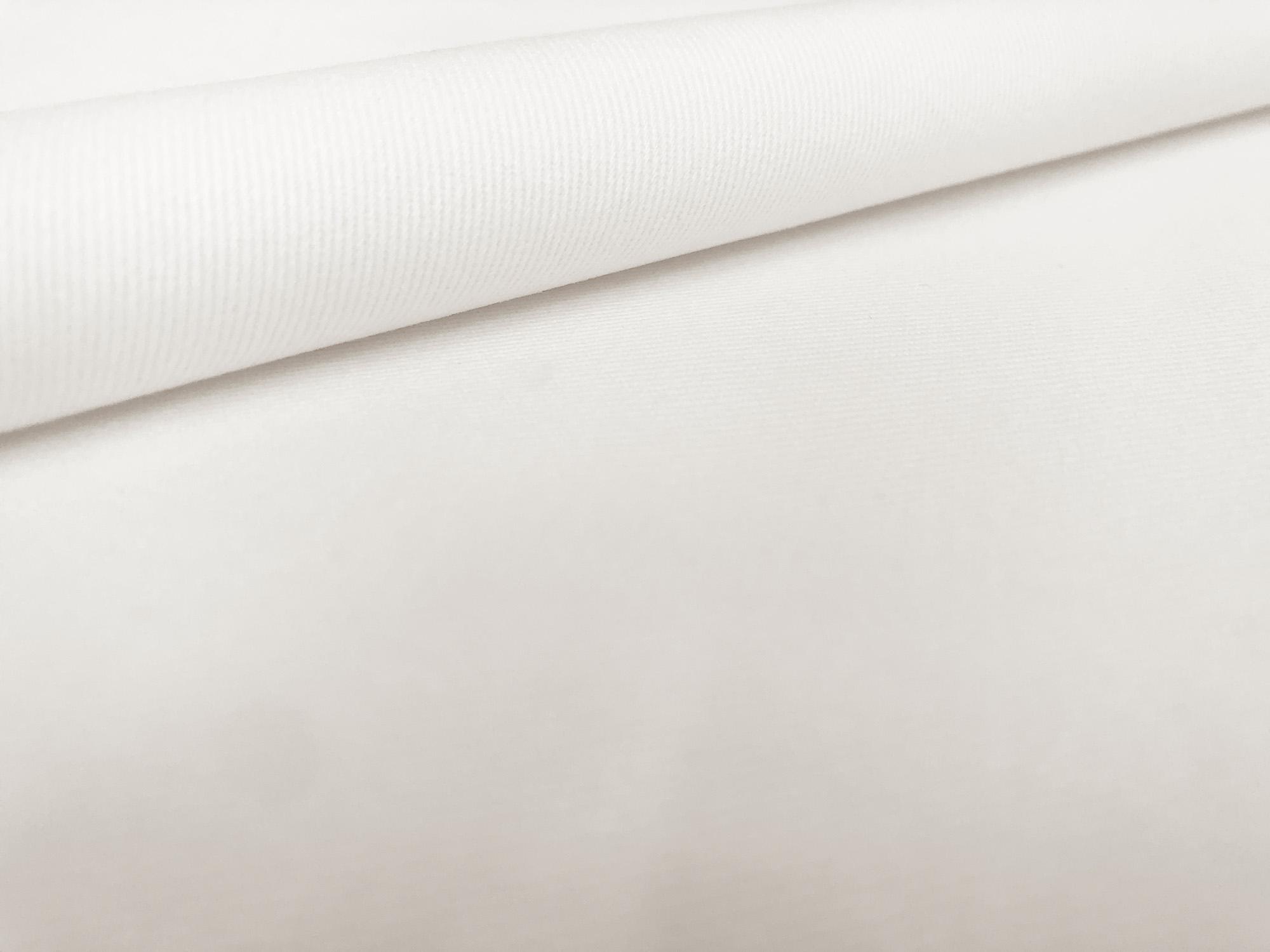 Cotton Chino Twill in White0