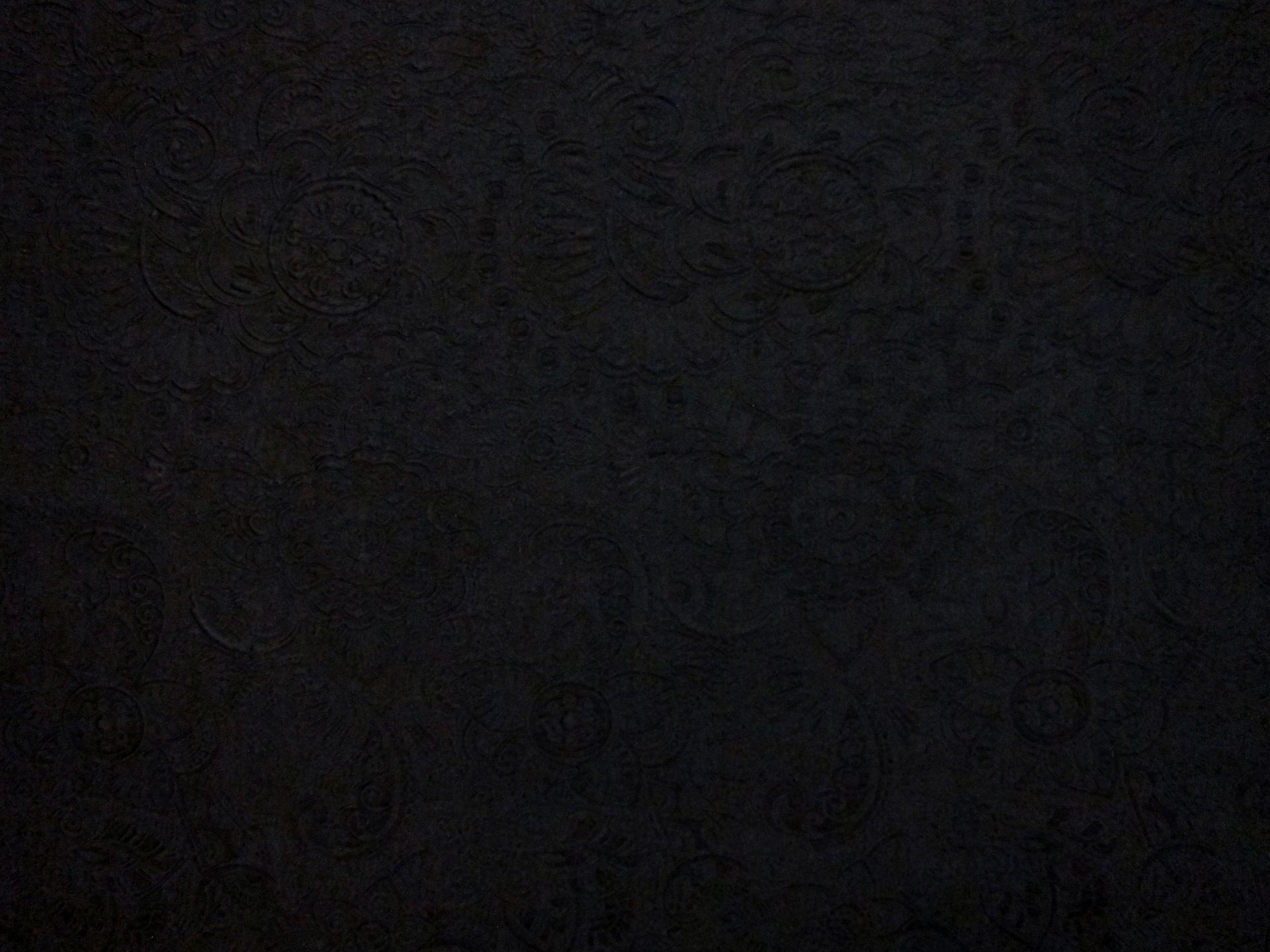 Silk Blend Organza Cloqué0