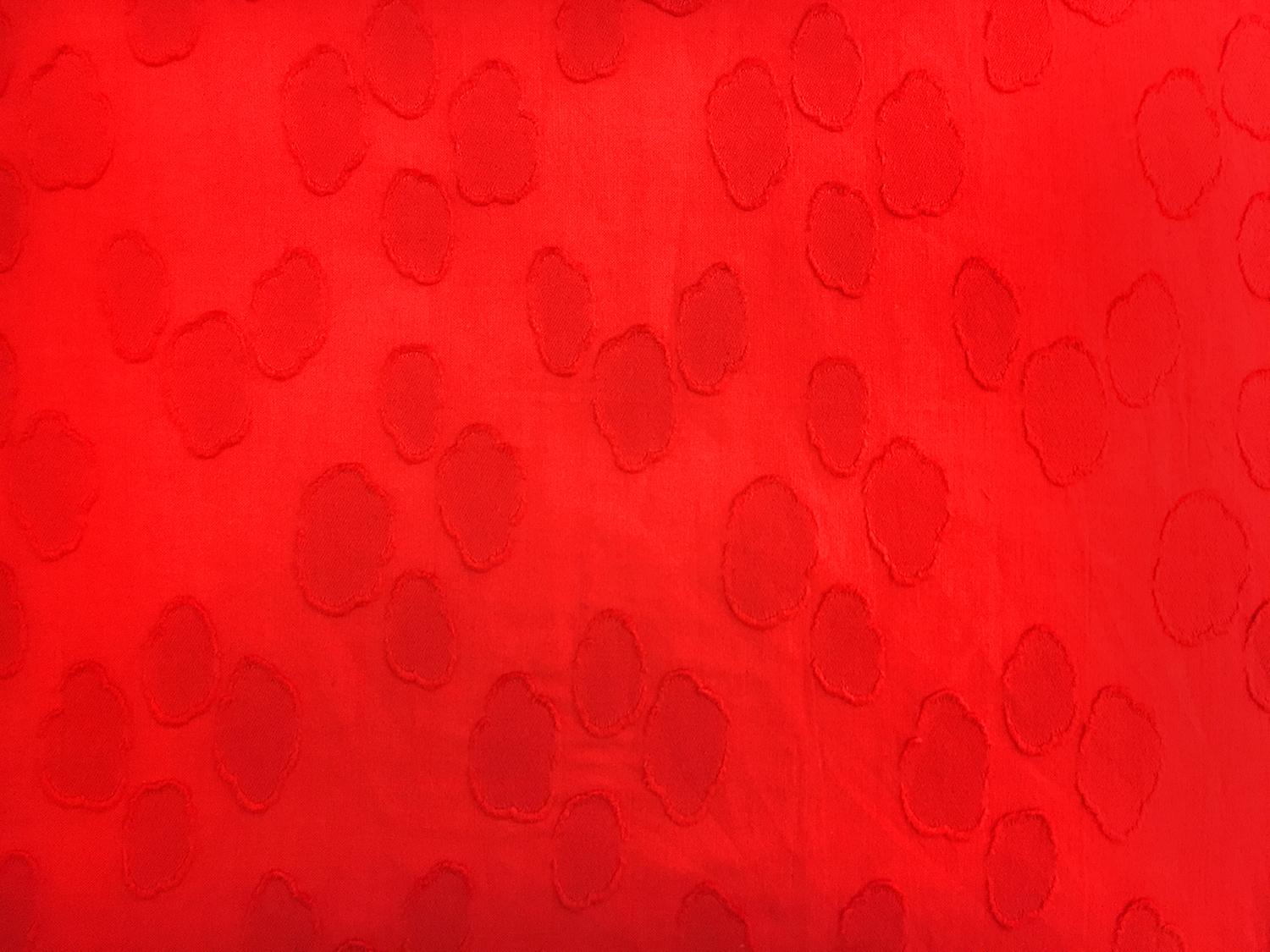 Swiss Cotton Voile Fil Coupe0