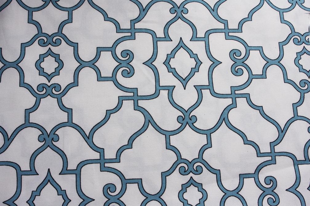 Printed Cotton Canvas0