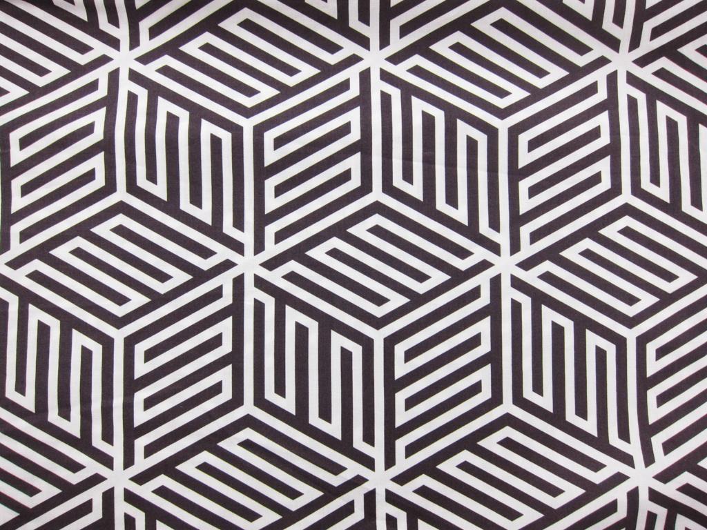 Cotton Broadcloth Print0