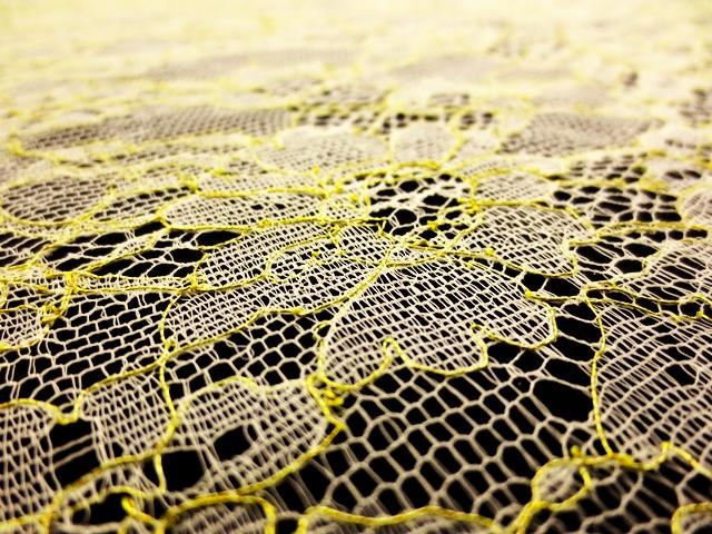 Metallic Chantilly Lace2