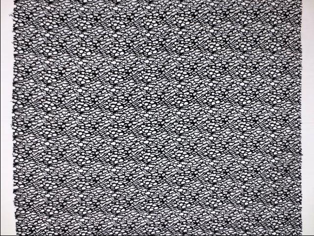 Corded Chantilly Lace3