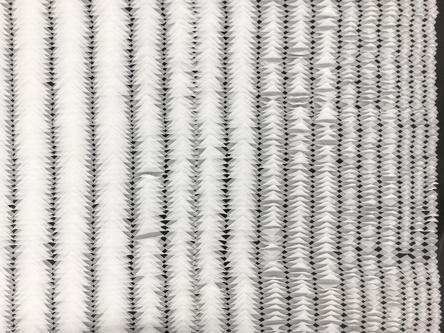 Novelty Chiffon Laser Cut Ruffles on Tulle1