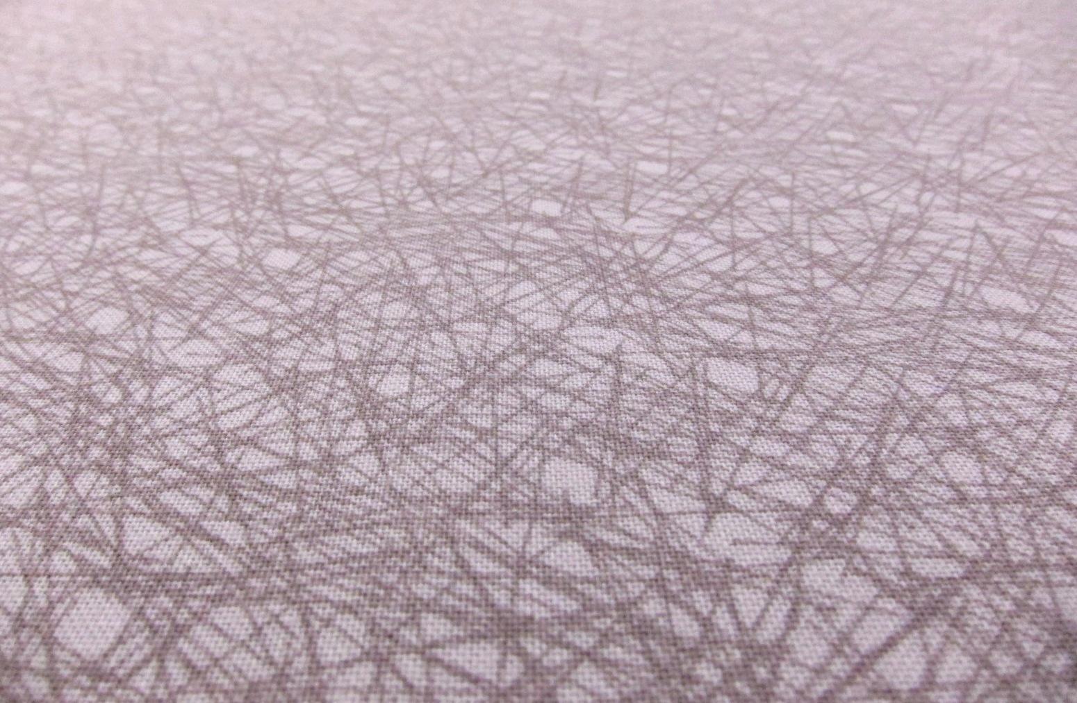 Cotton Broadcloth Print2