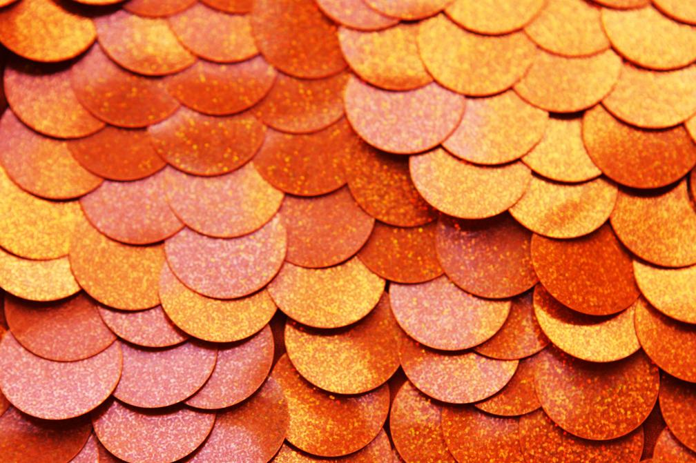 Pailettes on Silk Chiffon2