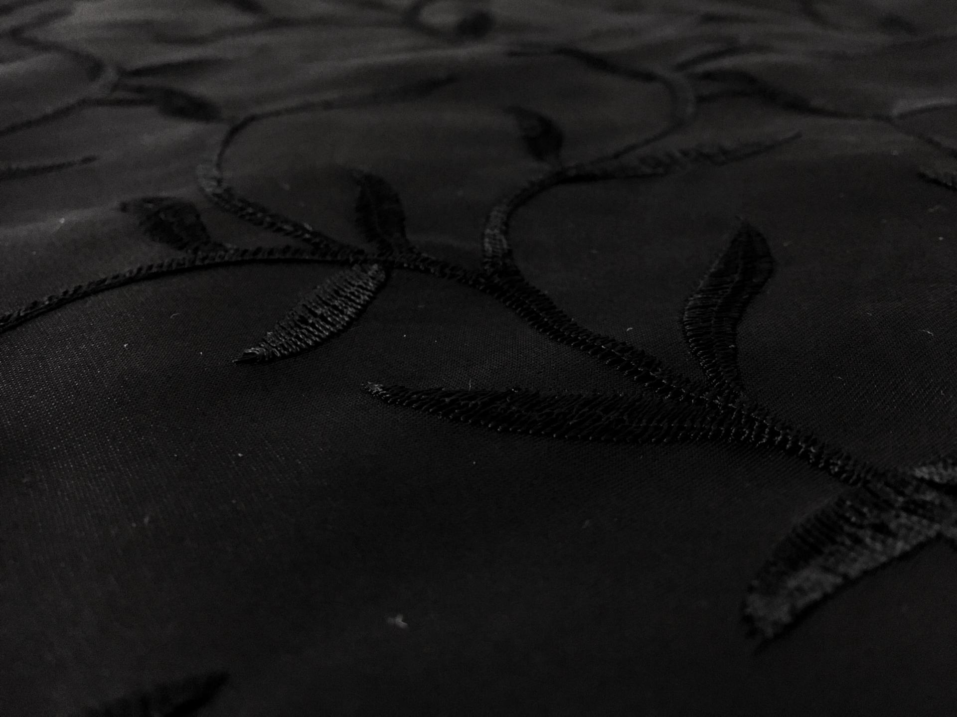 Silk Satin Organza Embroidered with Vines and Leaves0