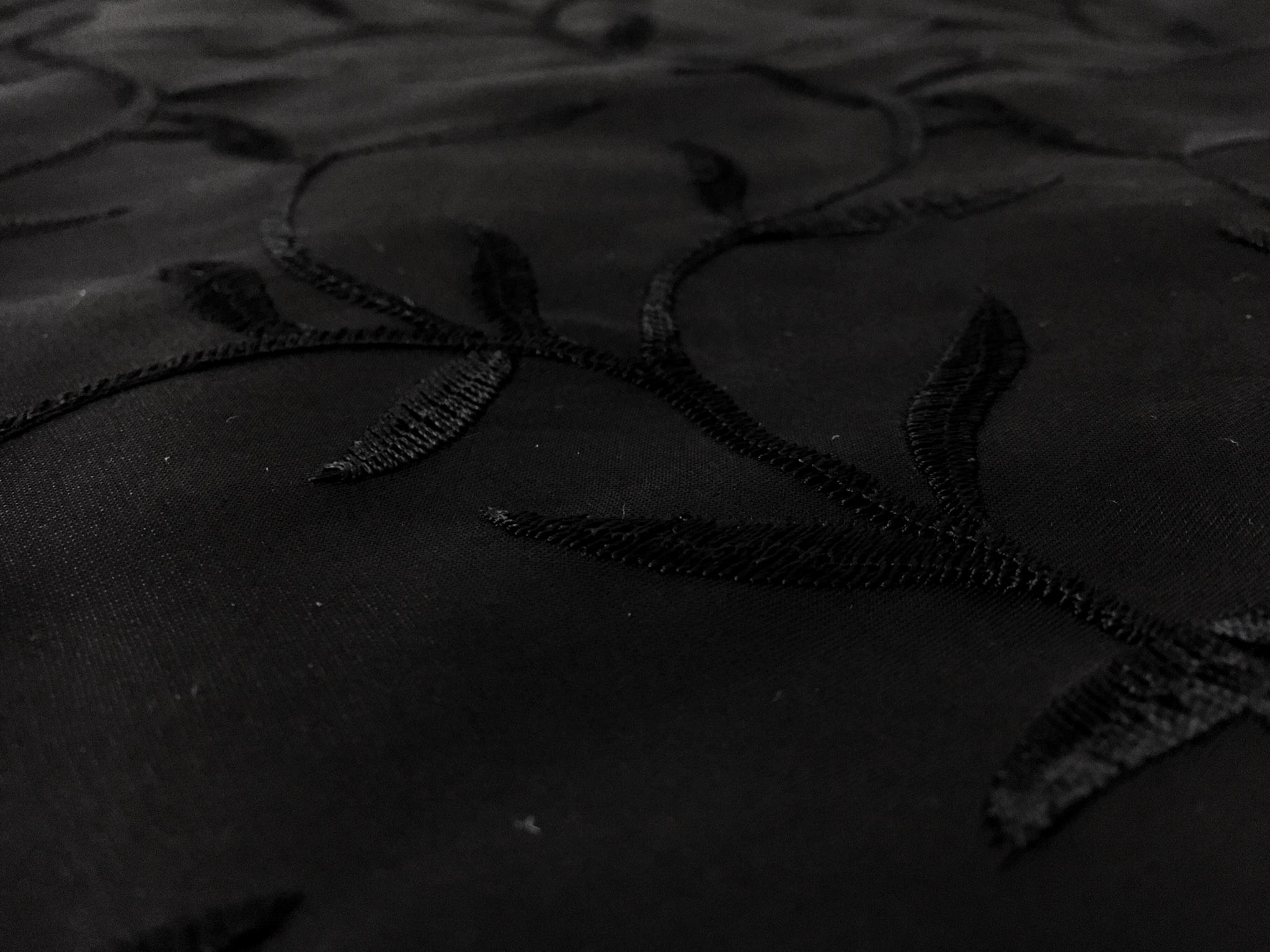 Silk Satin Organza Embroidered with Vines and Leaves0