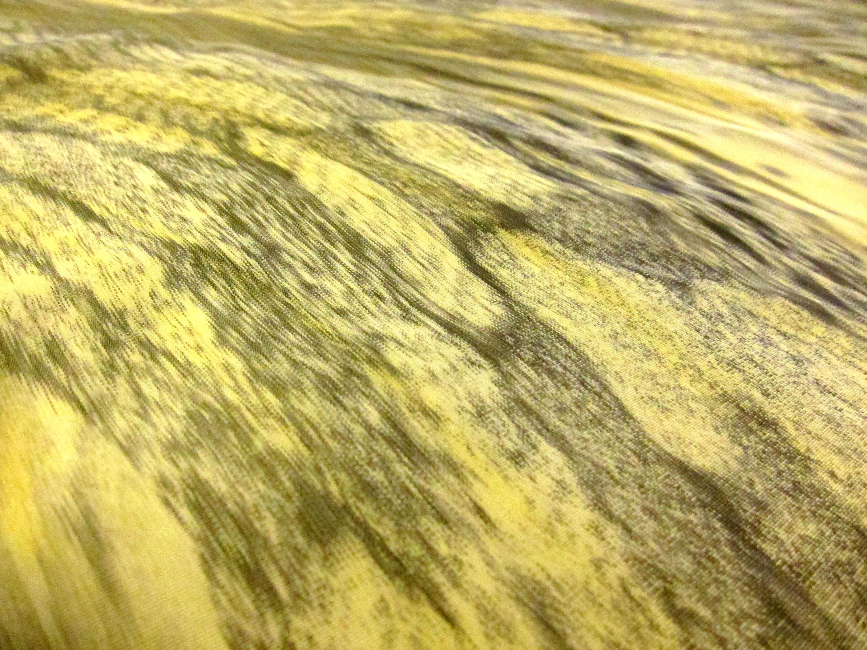 Polyester Nylon Warp Taffeta2