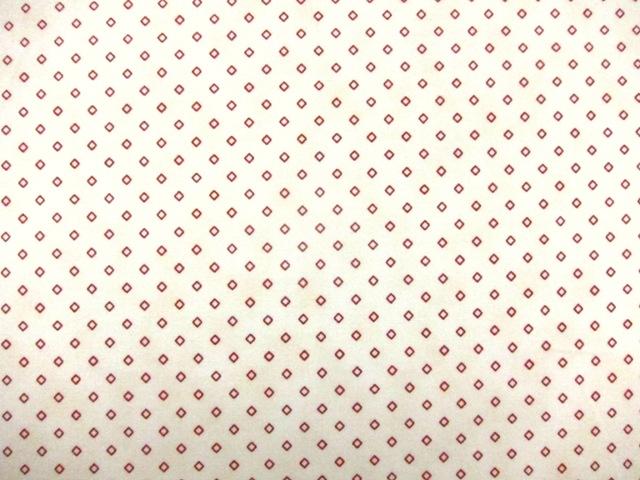 Cotton Broadcloth Print0
